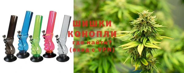 сатива Абинск