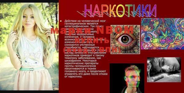 мдпв Алексин
