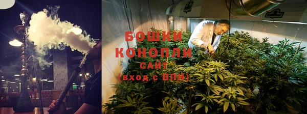 шишки Алзамай