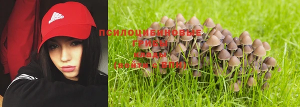 ECSTASY Алексеевка