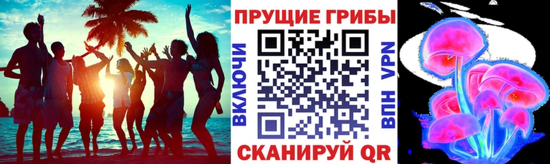 MEGA сайт Елизово Галлюциногенные грибы Psilocybe магазин продажи