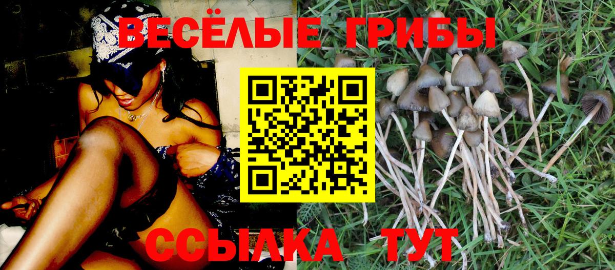 Галлюциногенные грибы Cubensis Елизово