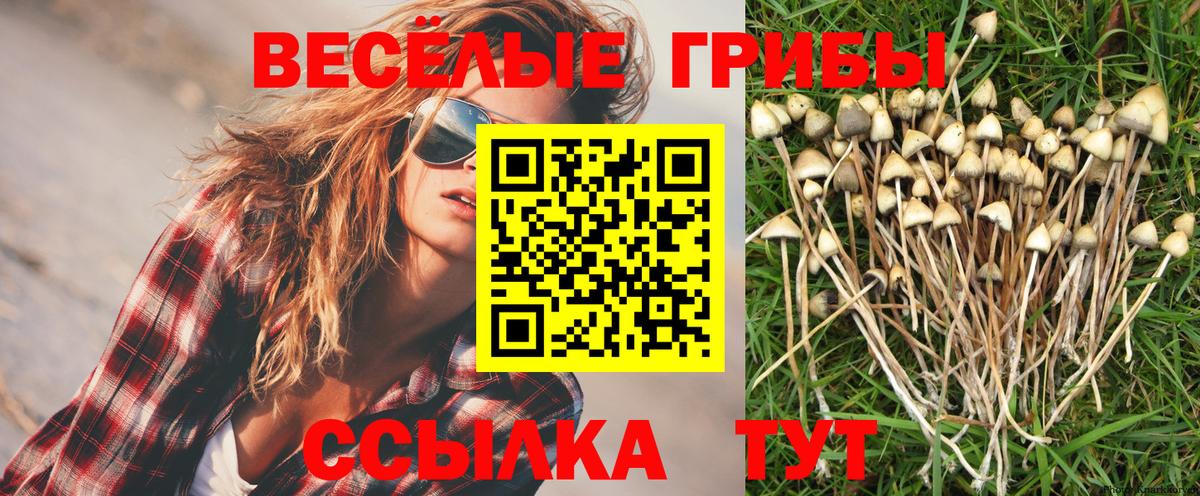Псилоцибиновые грибы Cubensis  Вход с VPN  Елизово 