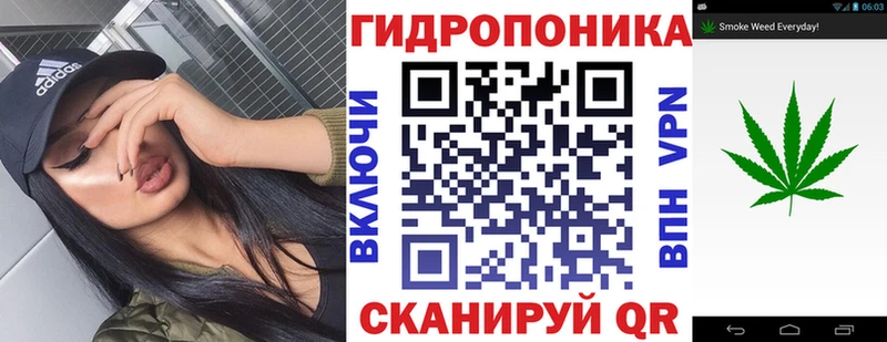 где купить наркотик  Елизово  Каннабис Bruce Banner 